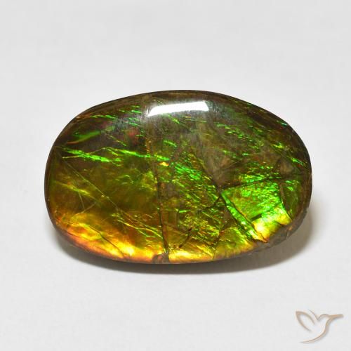 16.55ct Naturale Multicolore Ammolite, Taglio a fantasia, Opaco