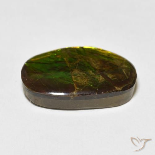 Ammolite Multicolore naturale da 16.55 ct, Taglio a fantasia, Opaco