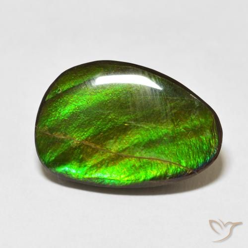 15.09ct Naturale Multicolore Ammolite, Taglio a fantasia, Opaco