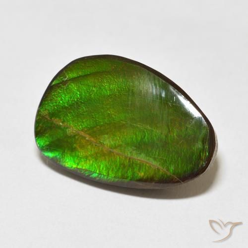 Ammolite Multicolore naturale da 15.09 ct, Taglio a fantasia, Opaco