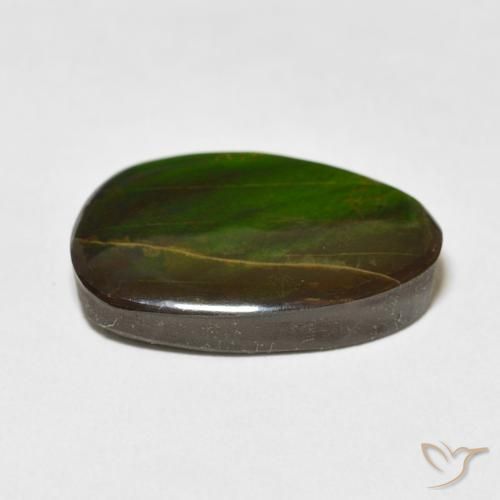 Ammolite Multicolore naturale da 15.09 ct, Taglio a fantasia, Opaco