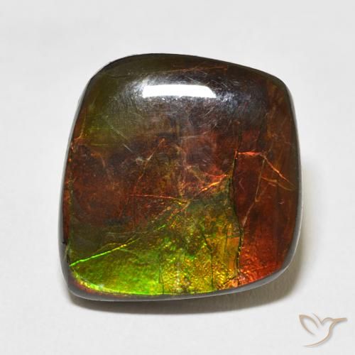 11.81ct Naturale Multicolore Ammolite, Taglio a fantasia, Opaco