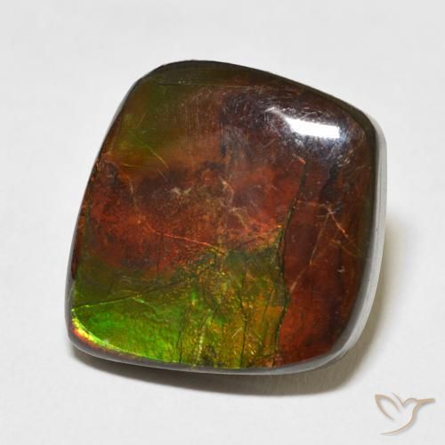 Ammolite Multicolore naturale da 11.81 ct, Taglio a fantasia, Opaco