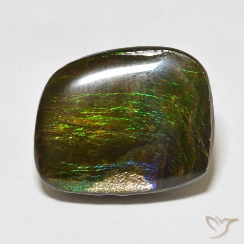 19.50ct Naturale Multicolore Ammolite, Taglio a fantasia, Opaco