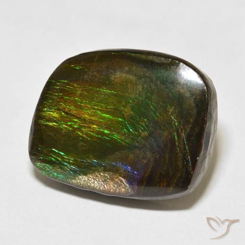 Ammolite Multicolore naturale da 19.50 ct, Taglio a fantasia, Opaco