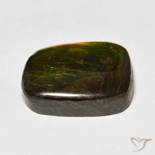 Ammolite Multicolore naturale da 19.50 ct, Taglio a fantasia, Opaco