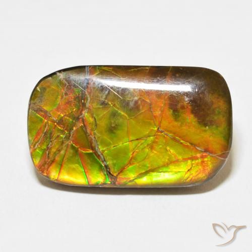 16.23ct Naturale Multicolore Ammolite, Cuscino, Opaco