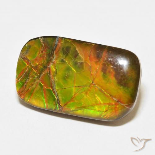 Ammolite Multicolore naturale da 16.23 ct, Cuscino, Opaco