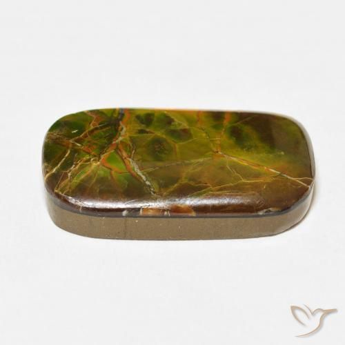 Ammolite Multicolore naturale da 16.23 ct, Cuscino, Opaco