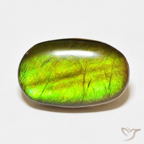 13.74ct Naturale Multicolore Ammolite, Ovale, Opaco