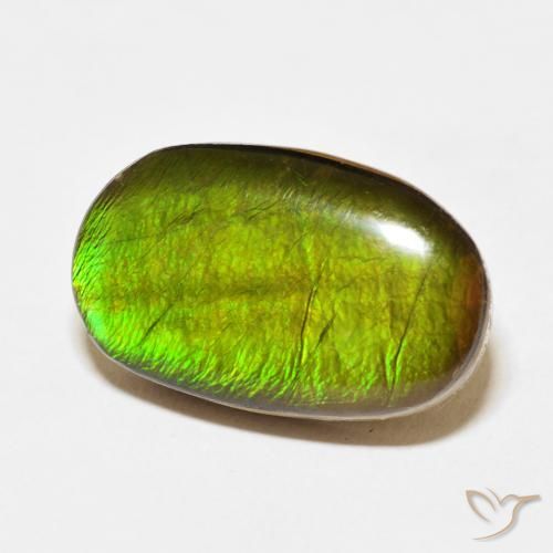 Ammolite Multicolore naturale da 13.74 ct, Ovale, Opaco
