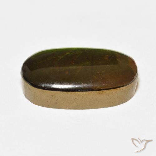 Ammolite Multicolore naturale da 13.74 ct, Ovale, Opaco
