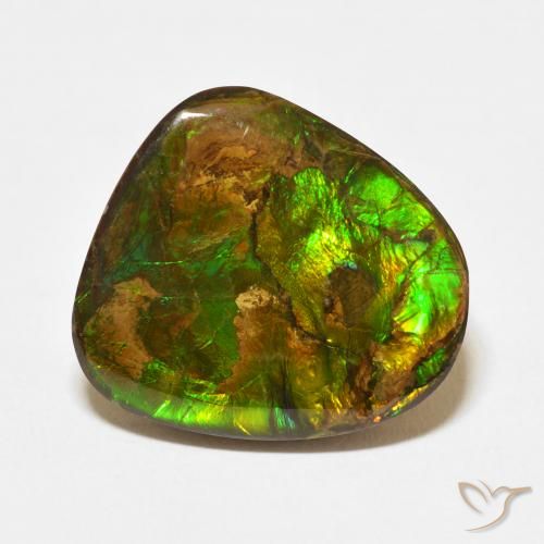 13.95ct Naturale Multicolore Ammolite, Taglio a fantasia, Opaco