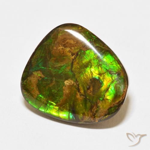 Ammolite Multicolore naturale da 13.95 ct, Taglio a fantasia, Opaco