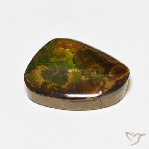 Ammolite Multicolore naturale da 13.95 ct, Taglio a fantasia, Opaco