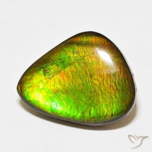 Ammolite Multicolore naturale da 15.27 ct, Taglio a fantasia, Opaco