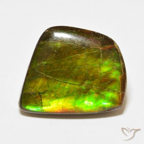 21.56ct Naturale Multicolore Ammolite, Taglio a fantasia, Opaco