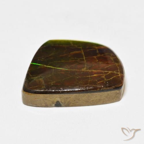 Ammolite Multicolore naturale da 21.56 ct, Taglio a fantasia, Opaco