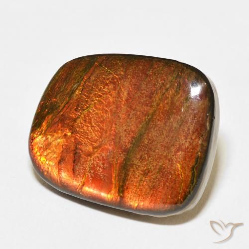 Ammolite Multicolore naturale da 14.15 ct, Taglio a fantasia, Opaco