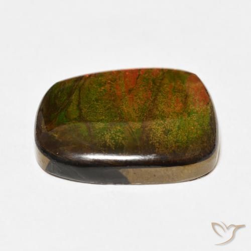 Ammolite Multicolore naturale da 14.15 ct, Taglio a fantasia, Opaco