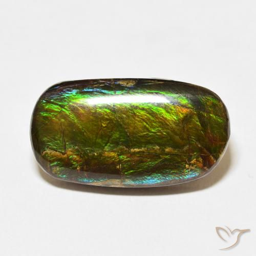 12.73ct Naturale Multicolore Ammolite, Taglio a fantasia, Opaco