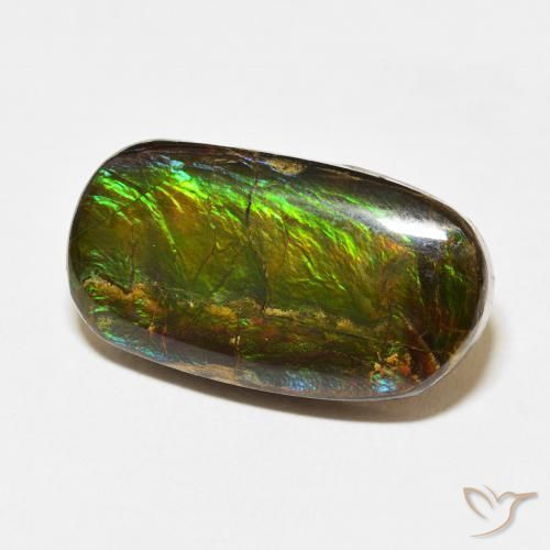 Ammolite Multicolore naturale da 12.73 ct, Taglio a fantasia, Opaco