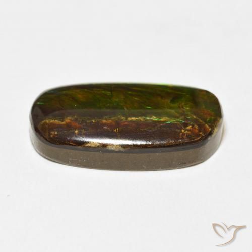 Ammolite Multicolore naturale da 12.73 ct, Taglio a fantasia, Opaco