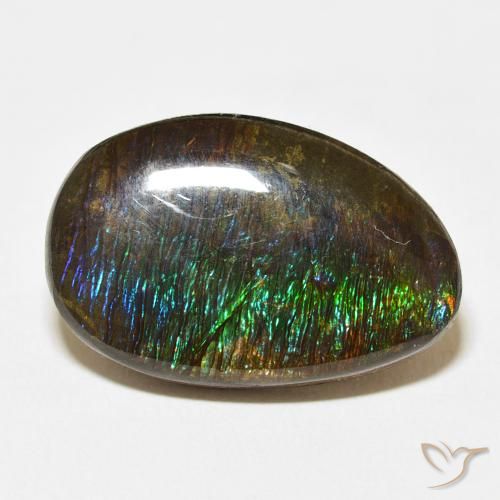 14.24ct Naturale Multicolore Ammolite, Taglio a fantasia, Opaco