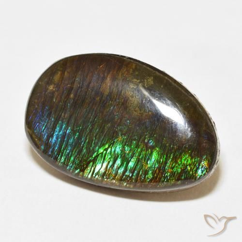 Ammolite Multicolore naturale da 14.24 ct, Taglio a fantasia, Opaco
