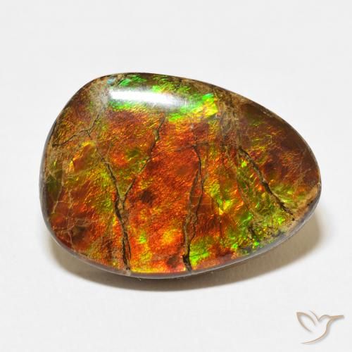 15.07ct Naturale Multicolore Ammolite, Taglio a fantasia, Opaco