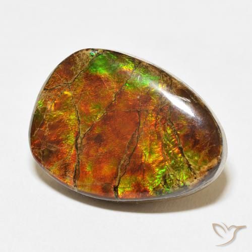 Ammolite Multicolore naturale da 15.07 ct, Taglio a fantasia, Opaco