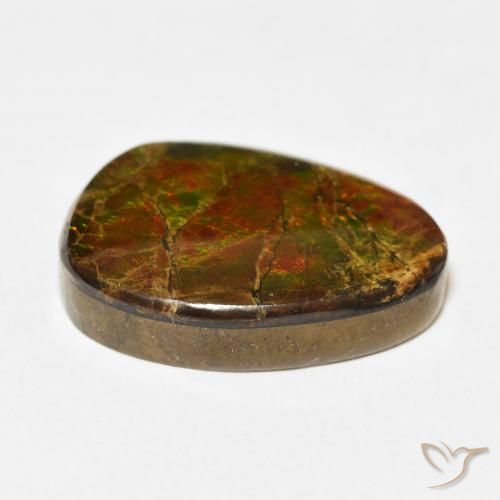 Ammolite Multicolore naturale da 15.07 ct, Taglio a fantasia, Opaco