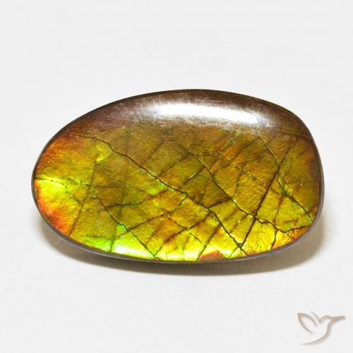 13.58ct Naturale Multicolore Ammolite, Taglio a fantasia, Opaco