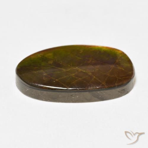 Ammolite Multicolore naturale da 13.58 ct, Taglio a fantasia, Opaco