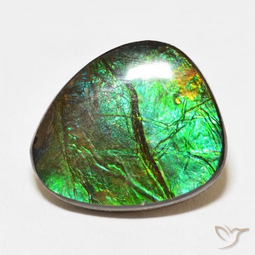 12.67ct Naturale Multicolore Ammolite, Taglio a fantasia, Opaco