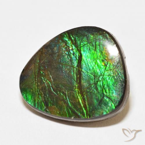 Ammolite Multicolore naturale da 12.67 ct, Taglio a fantasia, Opaco
