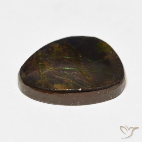 Ammolite Multicolore naturale da 12.67 ct, Taglio a fantasia, Opaco