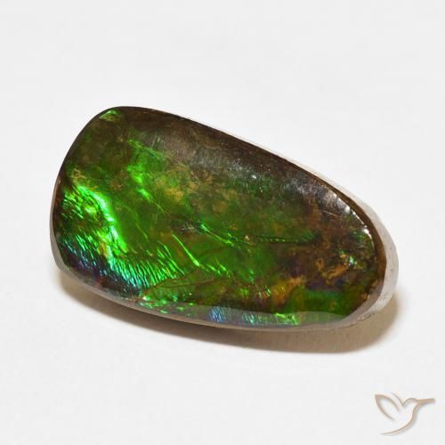 Ammolite Multicolore naturale da 12.15 ct, Taglio a fantasia, Opaco