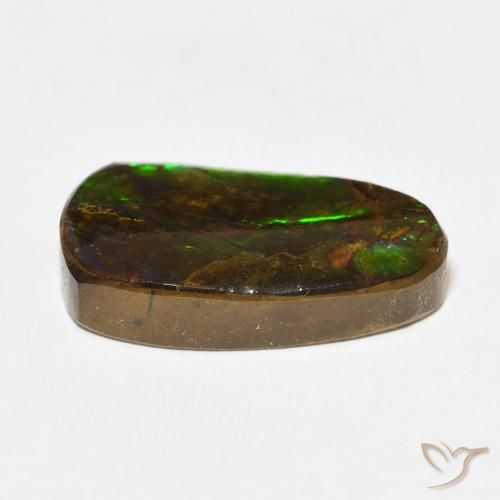 Ammolite Multicolore naturale da 12.15 ct, Taglio a fantasia, Opaco