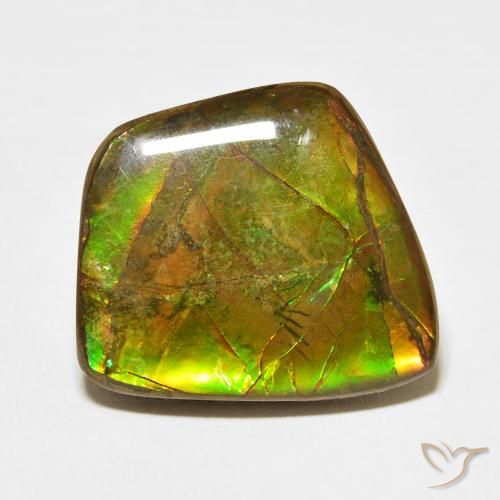 17.11ct Naturale Multicolore Ammolite, Taglio a fantasia, Opaco