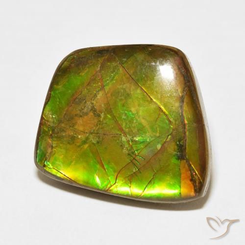 Ammolite Multicolore naturale da 17.11 ct, Taglio a fantasia, Opaco