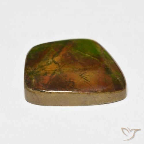 Ammolite Multicolore naturale da 17.11 ct, Taglio a fantasia, Opaco
