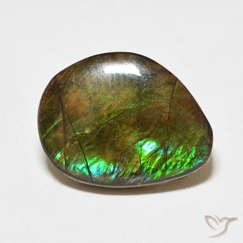 11.66ct Naturale Multicolore Ammolite, Taglio a fantasia, Opaco