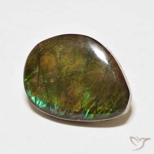 Ammolite Multicolore naturale da 11.66 ct, Taglio a fantasia, Opaco