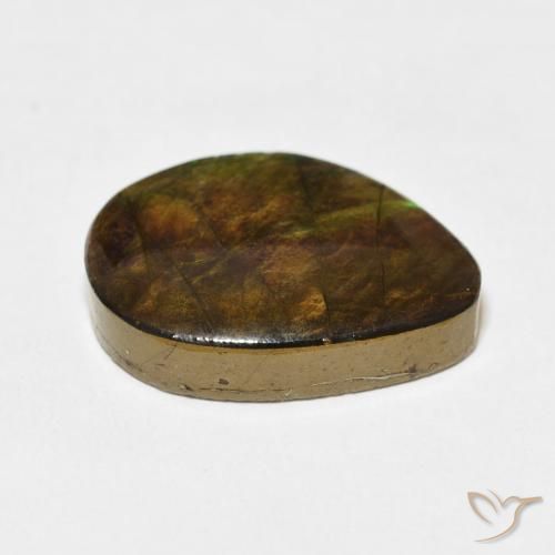 Ammolite Multicolore naturale da 11.66 ct, Taglio a fantasia, Opaco