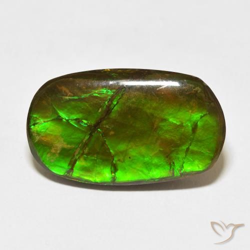 18.47ct Naturale Multicolore Ammolite, Taglio a fantasia, Opaco