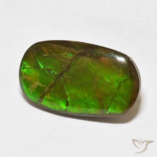 Ammolite Multicolore naturale da 18.47 ct, Taglio a fantasia, Opaco