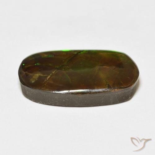 Ammolite Multicolore naturale da 18.47 ct, Taglio a fantasia, Opaco