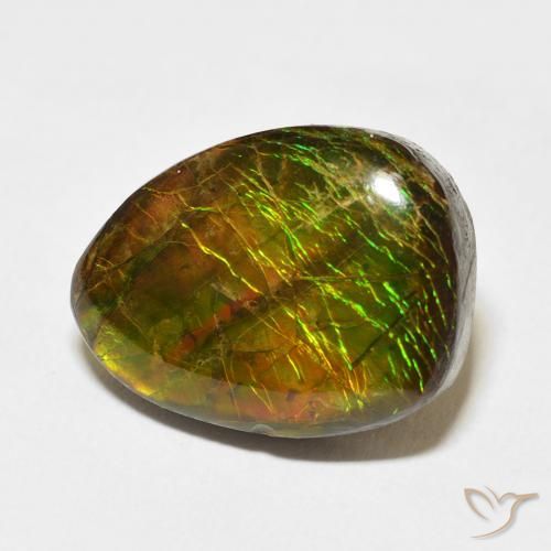 Ammolite Multicolore naturale da 12.20 ct, Taglio a fantasia, Opaco