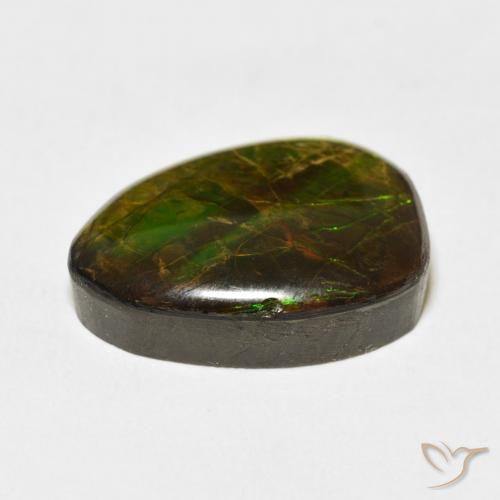 Ammolite Multicolore naturale da 12.20 ct, Taglio a fantasia, Opaco
